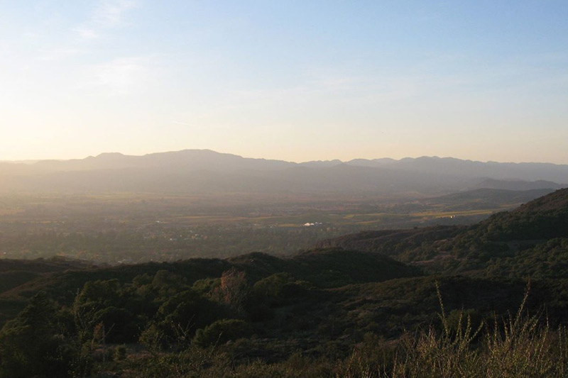 Foote Botanical Preserve at Mt. George | Land Trust of Napa County