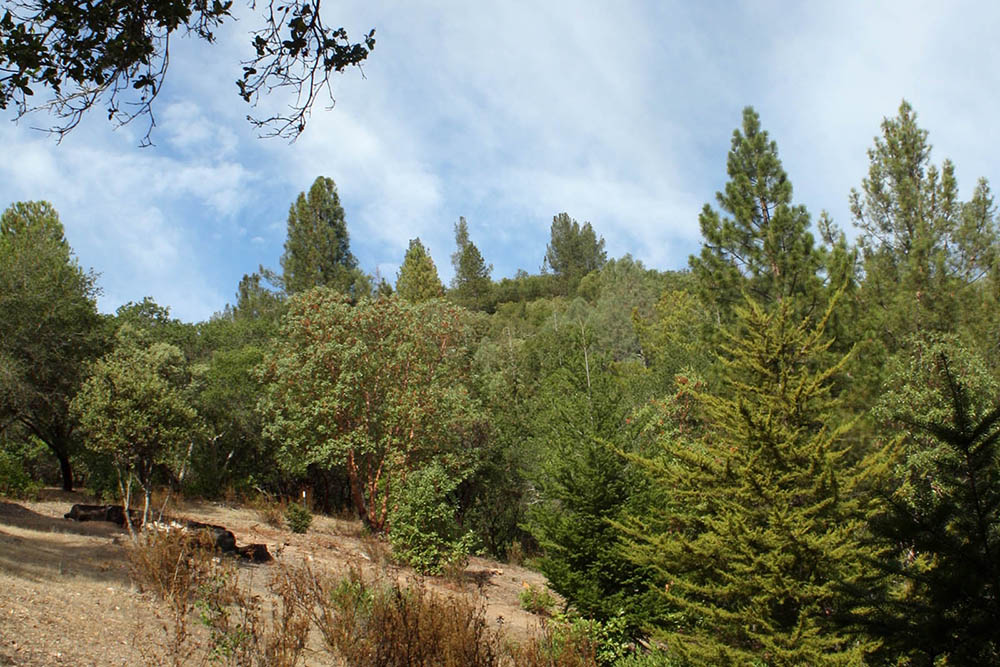 Latest conservation easement protects 55 acres upvalley
