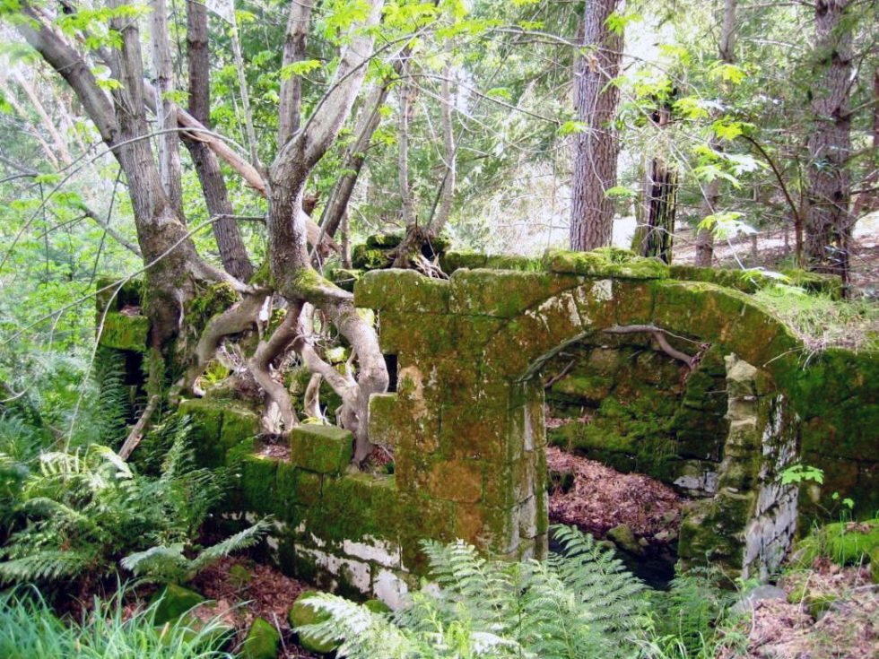 Land Trust protects 320 acres in priority wildlife corridor Land