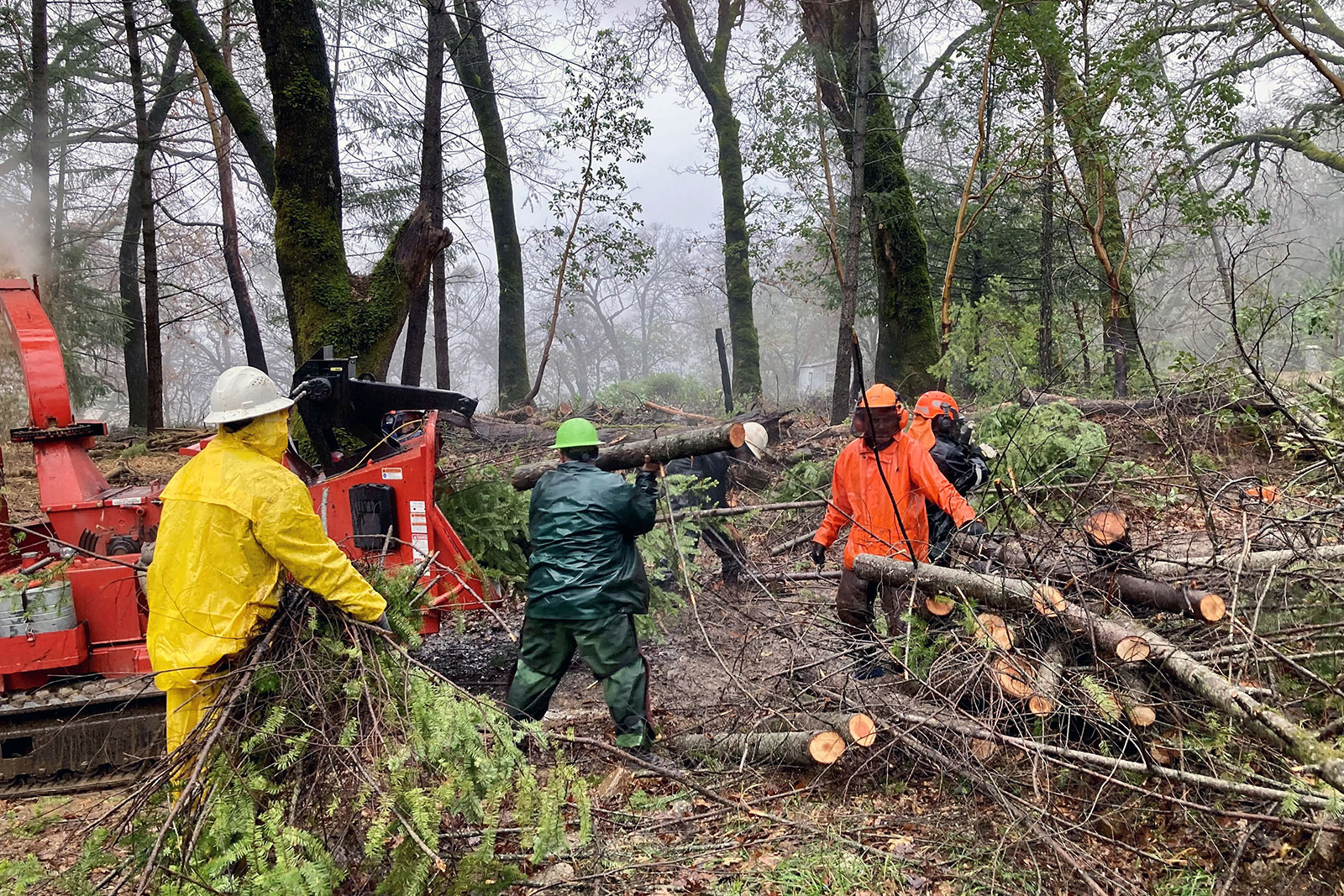 Crews chip woody debris generated during forest thinning on Land Trust of Napa County’s Aetna Springs Preserve. Photo by Mike Palladini – Land Trust of Napa County.