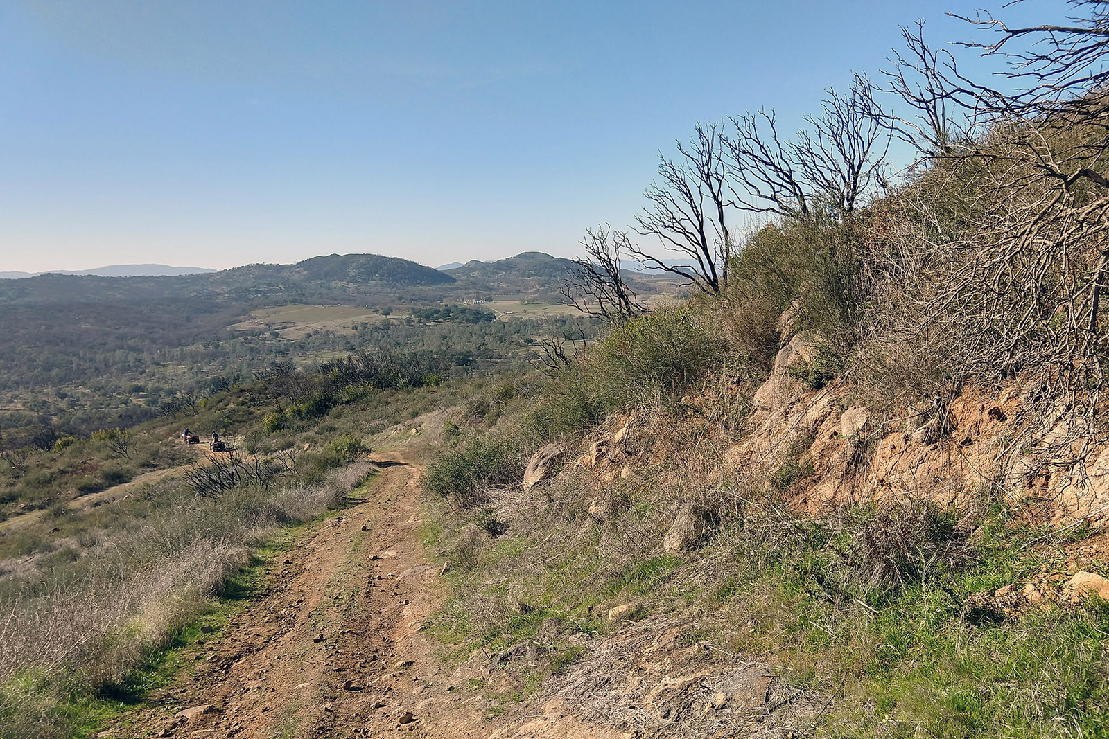 A completed section of Land Trust of Napa County’s Aetna Springs fuel break. Photo by Mike Palladini – Land Trust of Napa County.