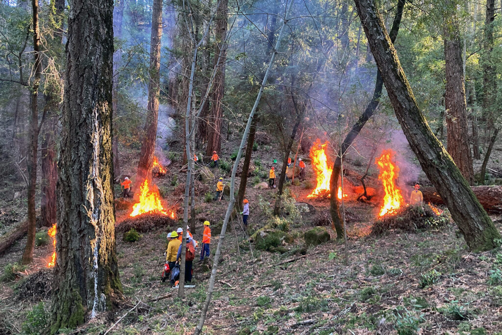 Pile burning at Linda Falls Preserve.