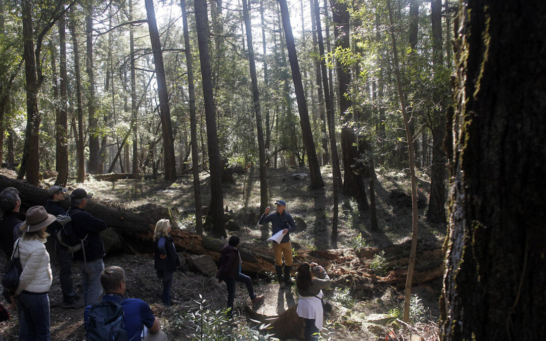 Land Trust provides on-the-ground tour of fuels reduction and forest resilience work at the Linda Falls Preserve