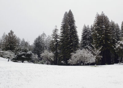 Snow on Archer Taylor Preserve - Feb. 24, 2023