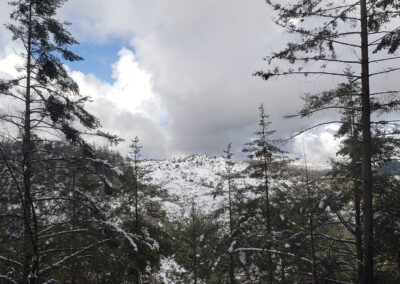 Snow on Archer Taylor Preserve - Feb. 24, 2023
