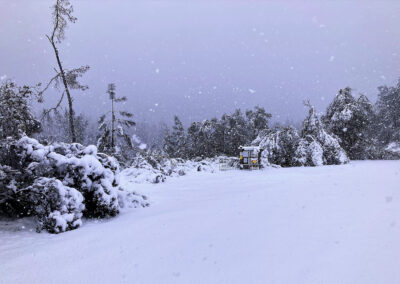 Linda Falls Preserve snow - Feb. 24, 2023