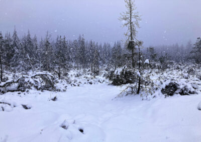 Linda Falls Preserve snow - Feb. 24, 2023