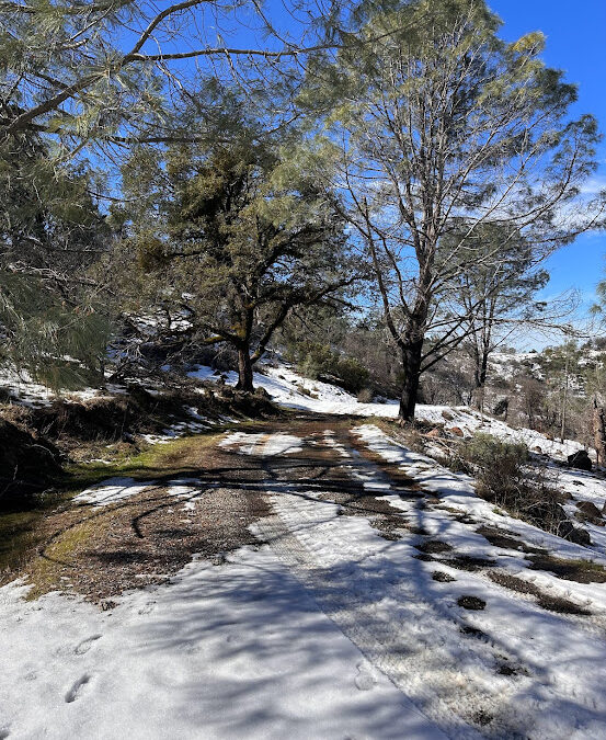 Snow on Sutro Ranch Preserve - Feb. 24, 2023