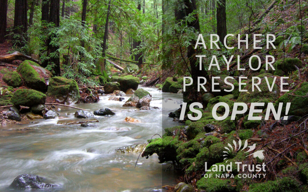 Spring Visitor Access to the Archer Taylor Preserve Update!