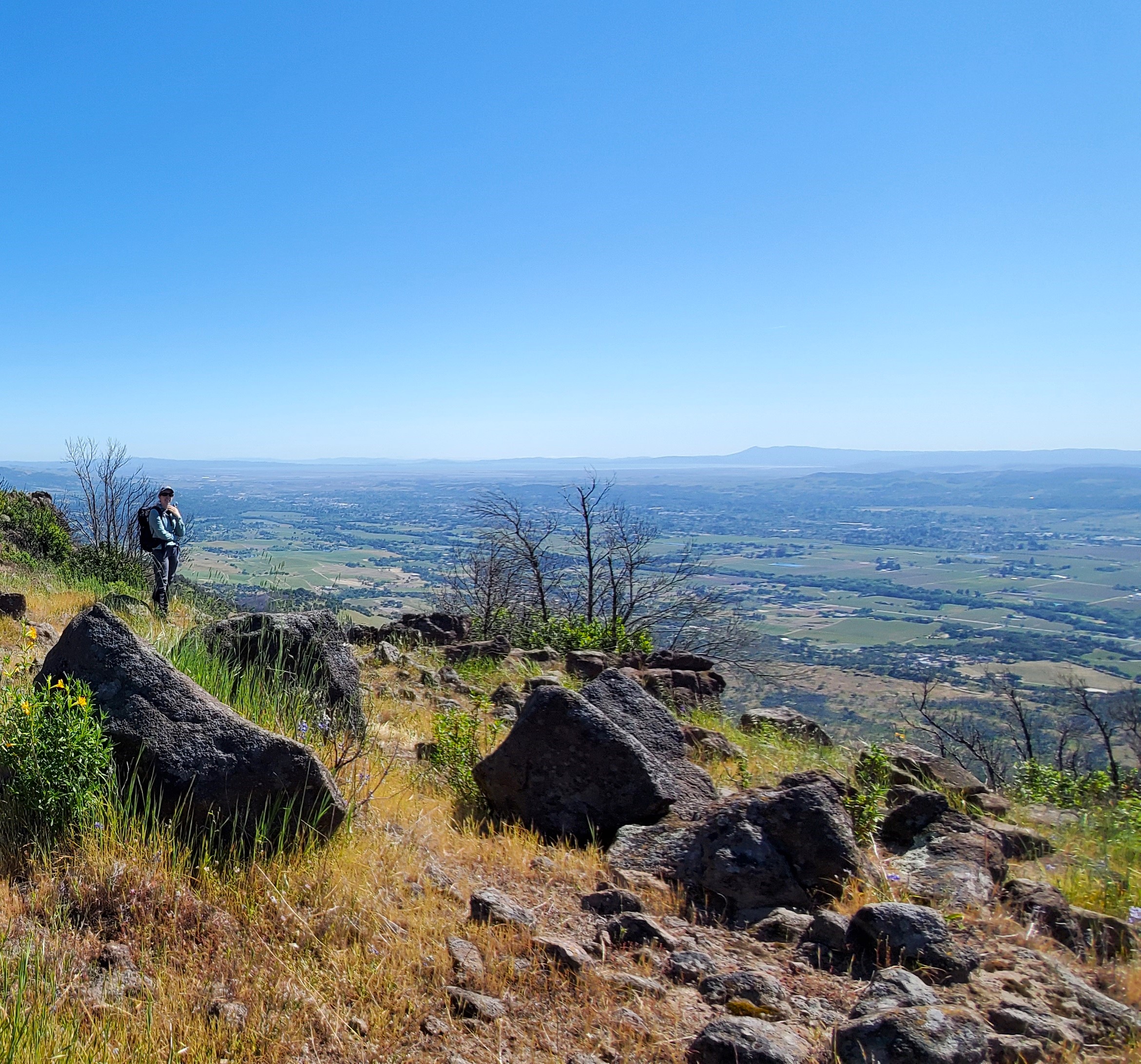 View across Napa Valley from Mead Ranch to Mount Tam in the distance.