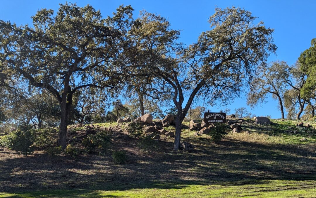 Andy & Betty Beckstoffer Preserve 51 Acres of Rutherford Farmland