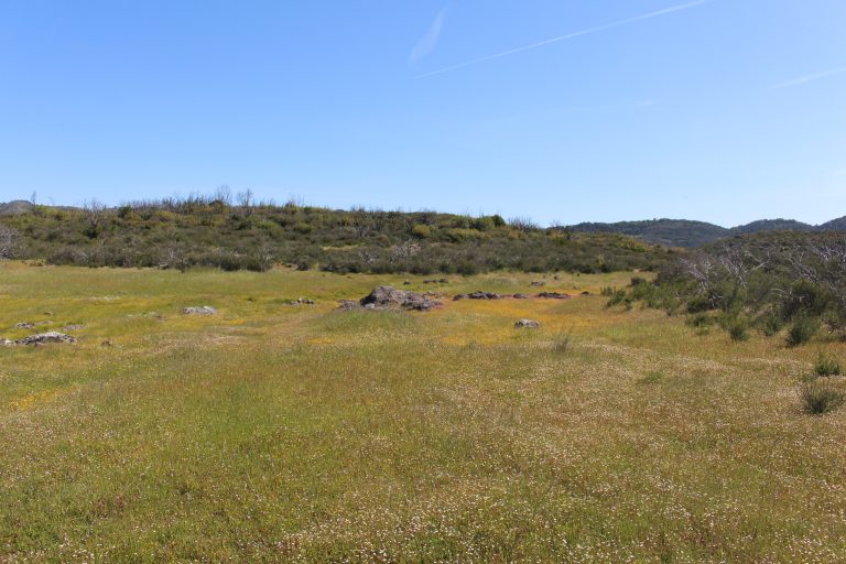 Mead Ranch Preserve — Land Trust of Napa County