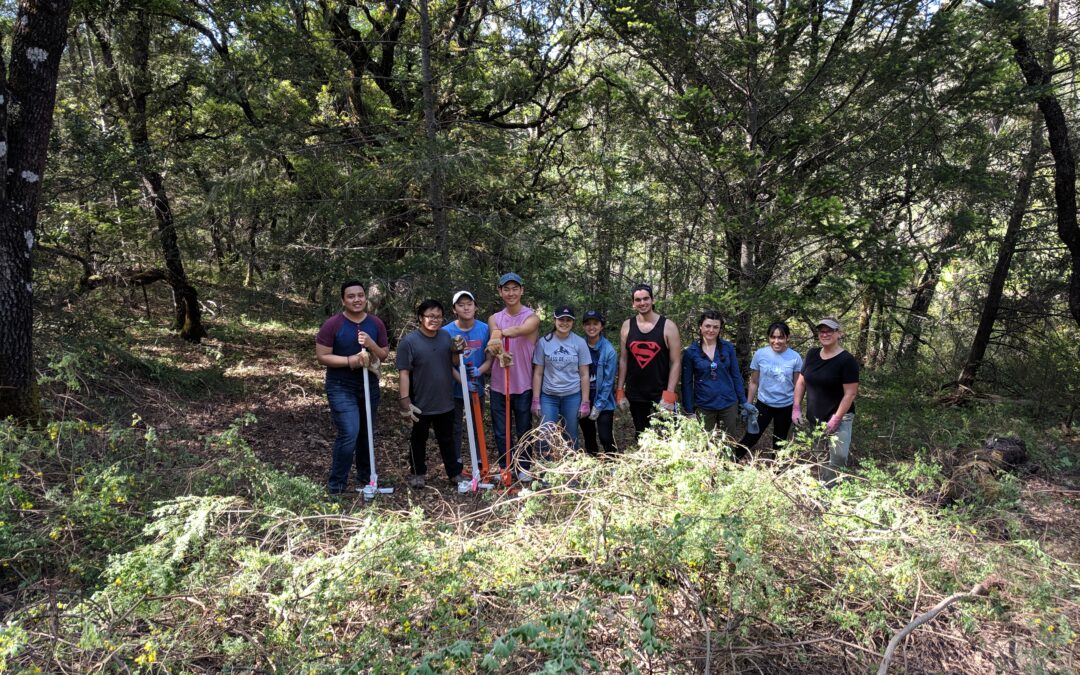 Get Your Hands Dirty for a Greener Future – Volunteer with the Land Trust